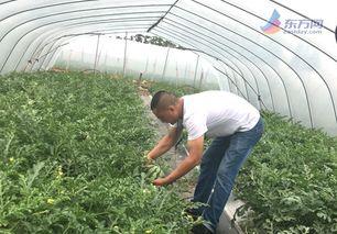 吃瓜网红 图片高清